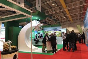 British-potato-show-gyec