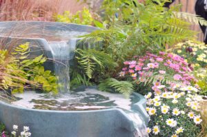 Harrogate Spring Flower Show